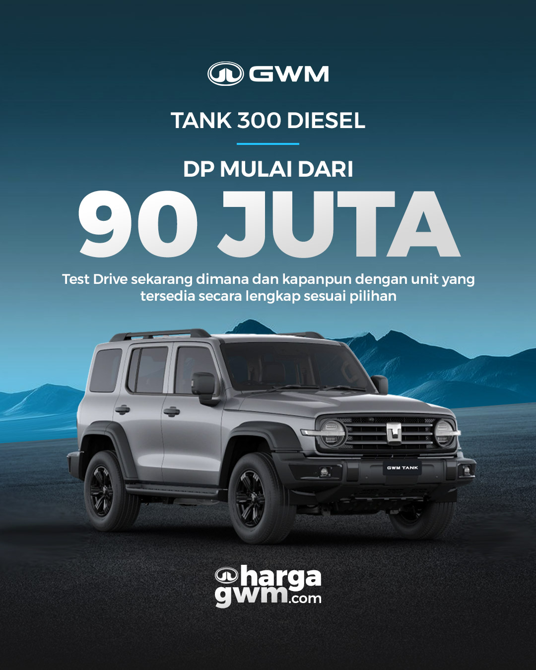 Diesel Tank 300